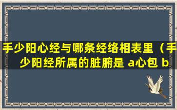 手少阳心经与哪条经络相表里（手少阳经所属的脏腑是 a心包 b胆c三焦d小肠e胃）